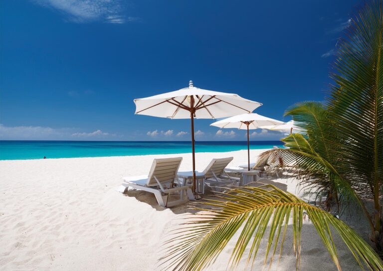 財務経理課長　【管理監督者/サポート体制充実！/沖縄県宮古島】 (求人ID:13576)